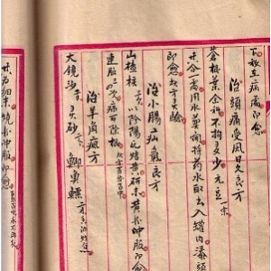 珍藏男子回春秘诀（徐平）.pdf